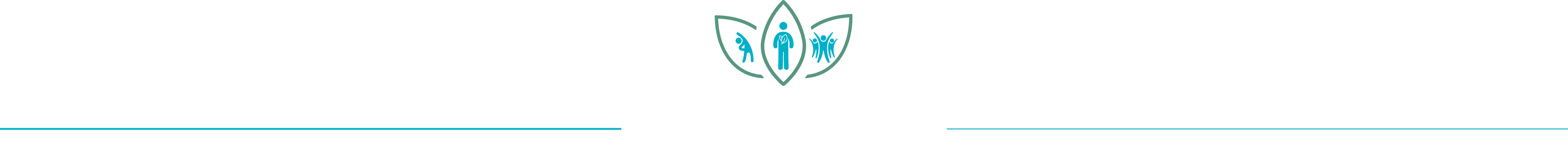 3-distinct-zons